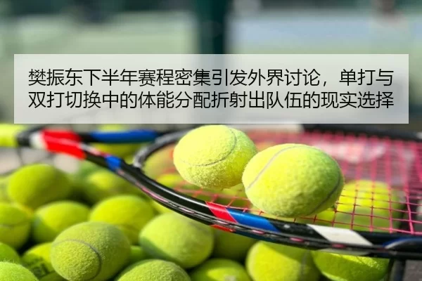 樊振东下半年赛程密集引发外界讨论，单打与双打切换中的体能分配折射出队伍的现实选择