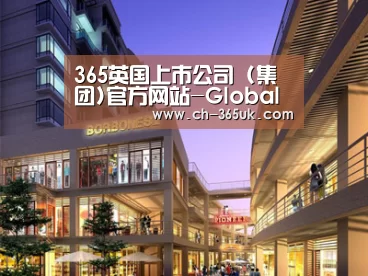 案例展示一(图1)