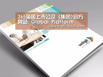项目名称九