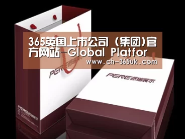 项目名称十二