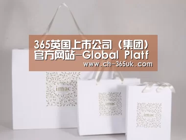 项目名称十一