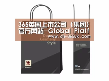 项目名称十四