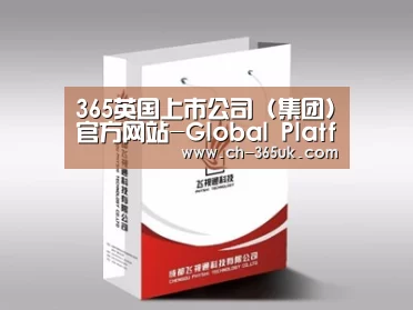 项目名称十三