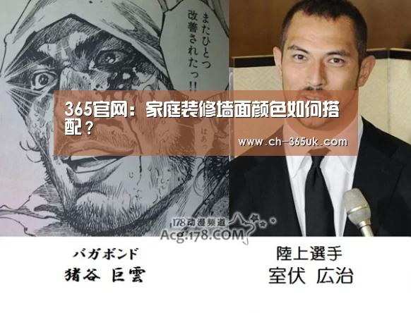 365官网:家庭装修墙面颜色如何搭配?(图3) 英国365集团