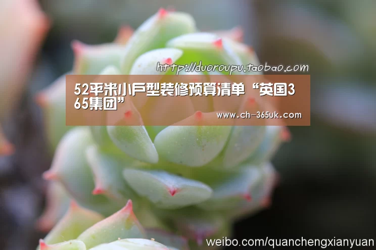 英国365集团