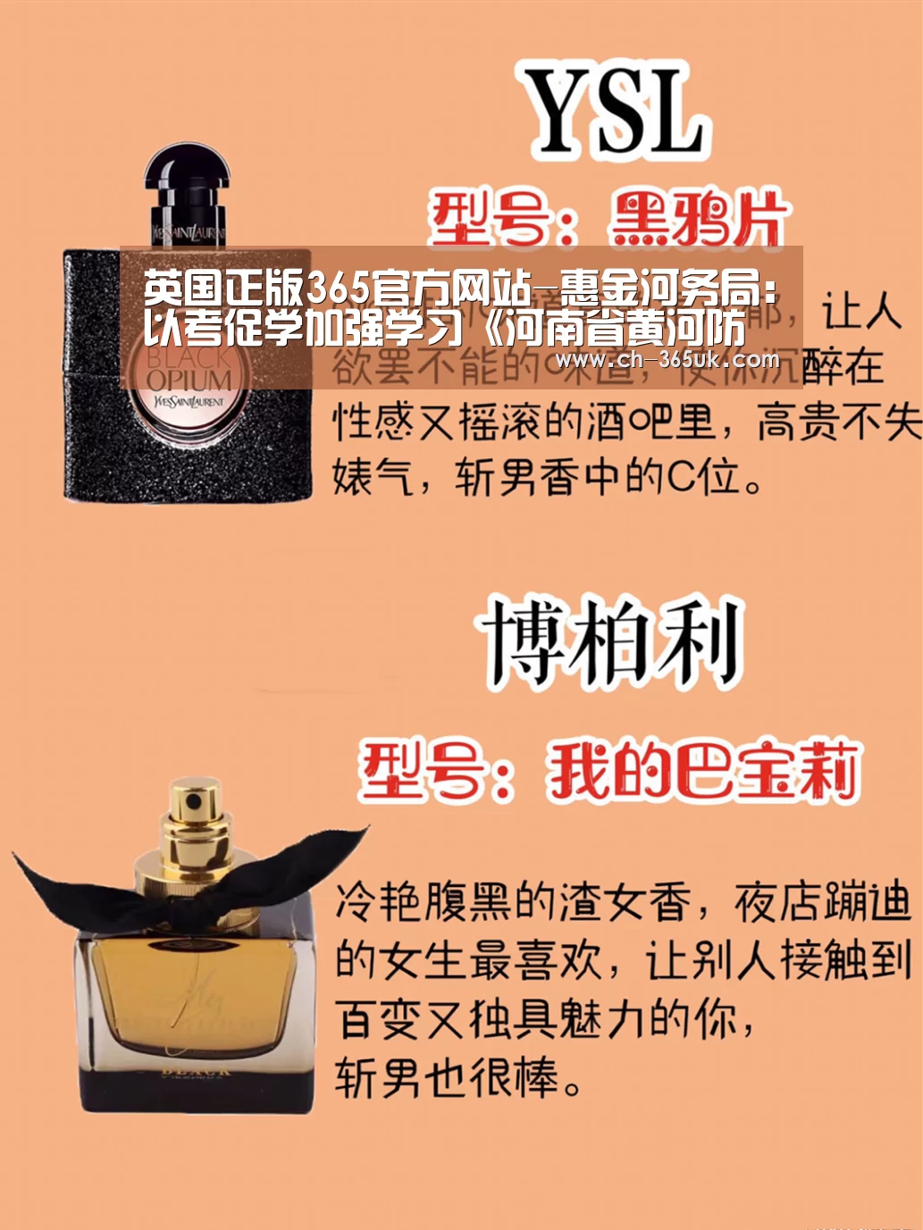 英国正版365官方网站